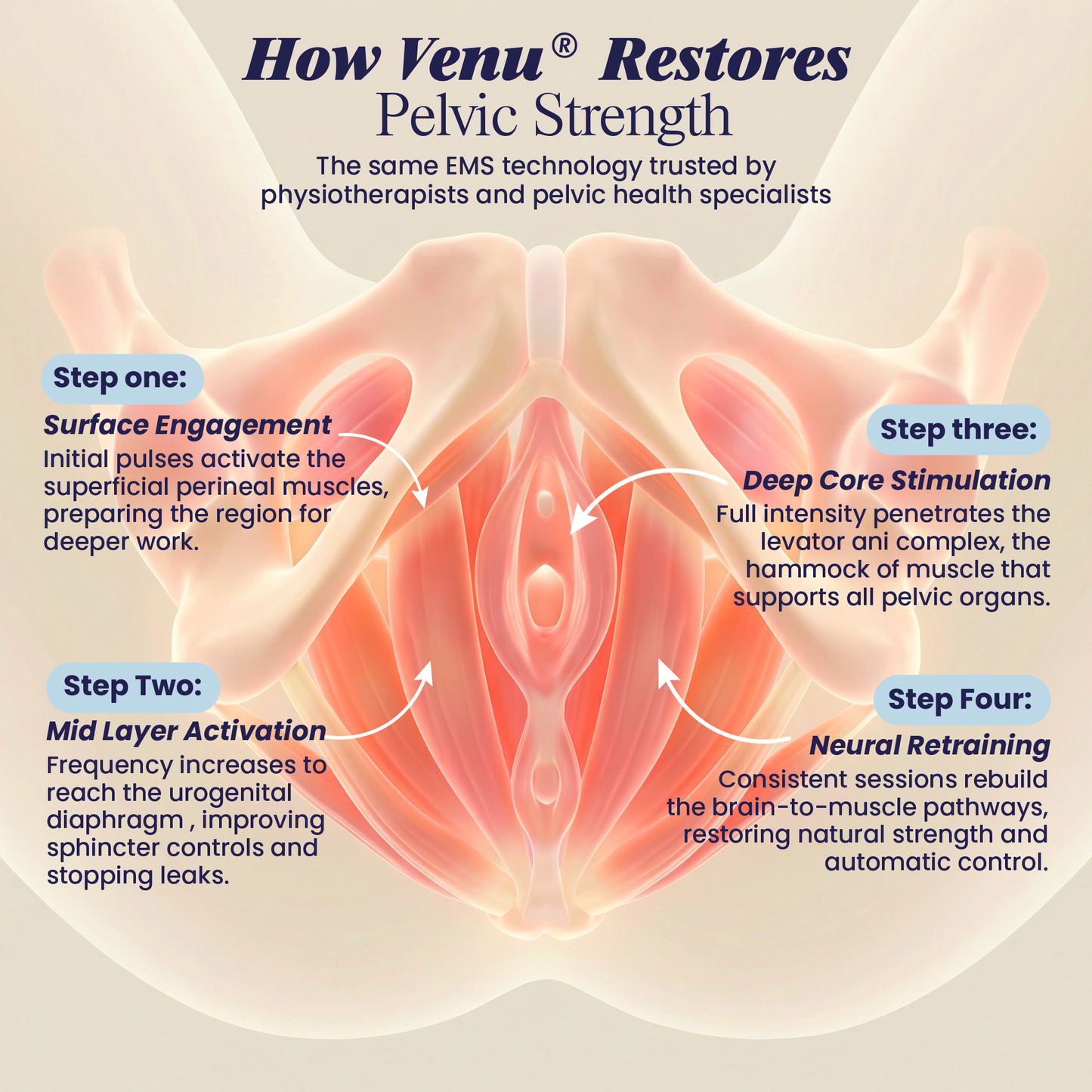 Venu® PelviTone Pro