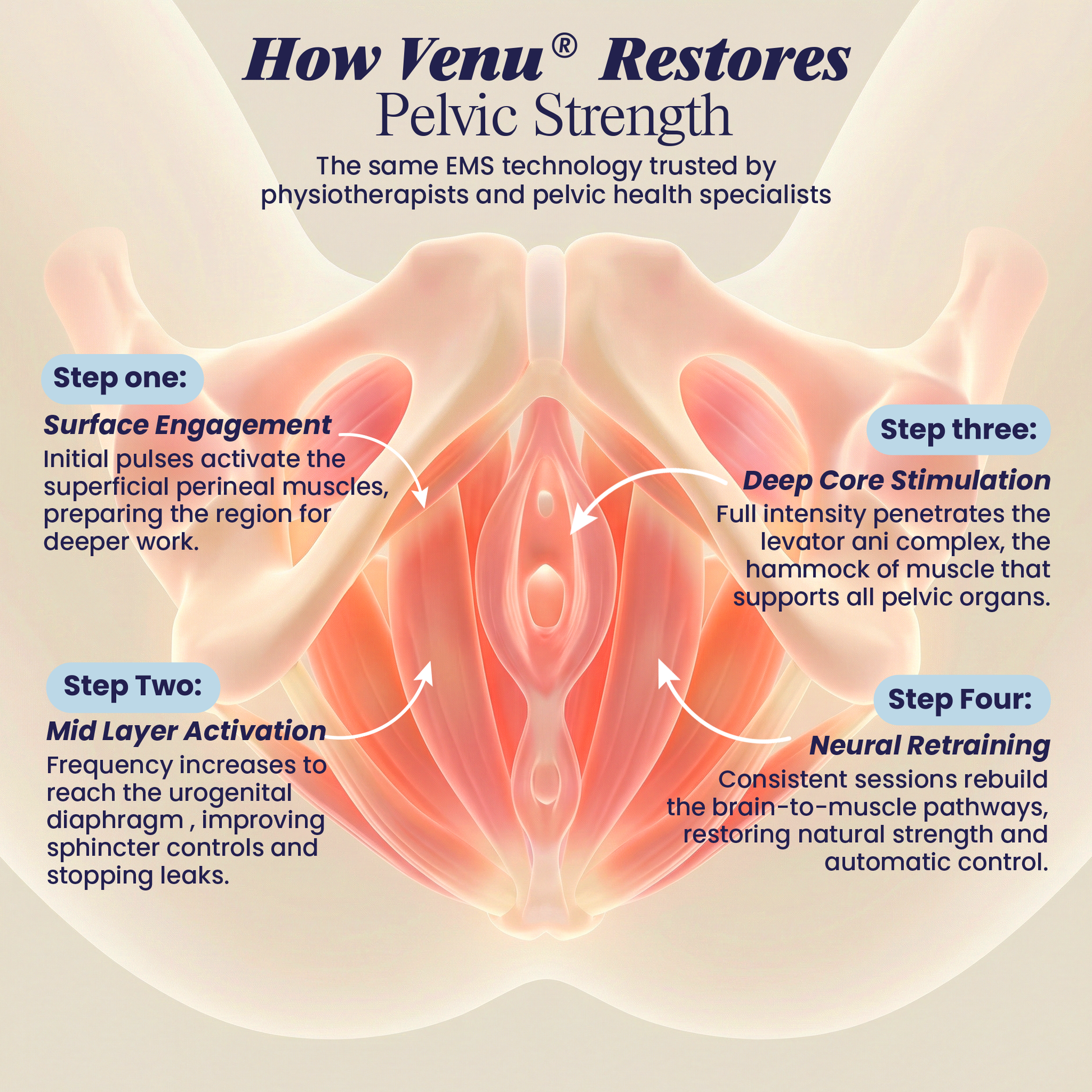 Venu® PelviTone Pro