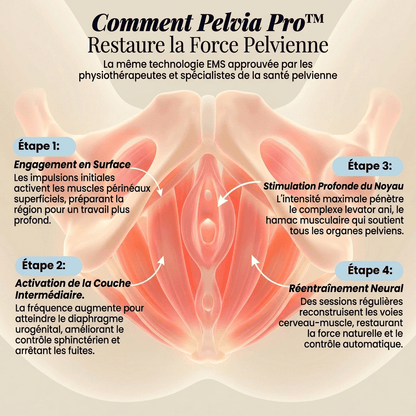 Pelvia Pro™